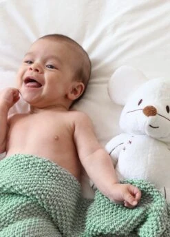 Dragonfly Blanket -We Are Knitters Sales knitting kit cotton dragonfly blanket EN 05