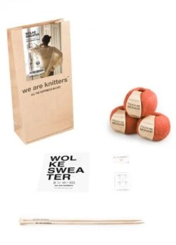 Wolke Sweater -We Are Knitters Sales knitting kit mohair Wolke Sweater EN 03